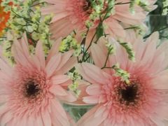 -绝城芋儿鸡(犀浦旗舰店)