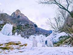 -黑龙潭风景区