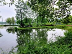 -金银湖国家城市湿地公园