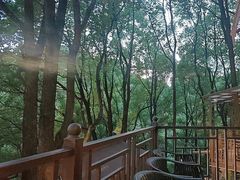 -巴倒烫陆派重庆火锅(南山店)