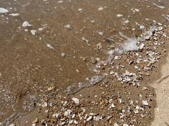 -辽宁团山国家级海洋公园