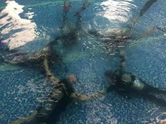 -西吉马游泳健身(协信店)