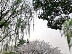 -堤角公园