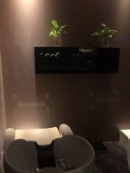 -史云逊养发护发