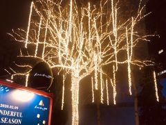-北京美神宫艺术主题温泉酒店