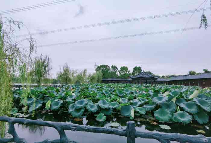 武汉江夏中州府生态园图片