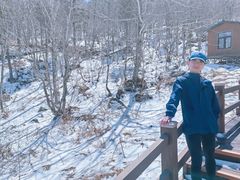 -凤凰山国家森林公园