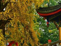 -金堂县云顶石城风景区