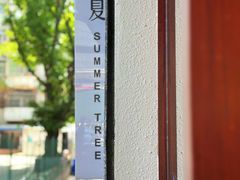 -树夏Tree Summer