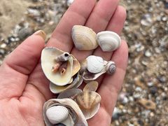 -那香海钻石沙滩浴场
