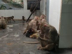 -西安秦岭野生动物园