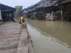 -乌镇东栅景区