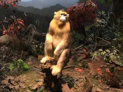 -陕西自然博物馆