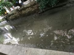 -小洲村