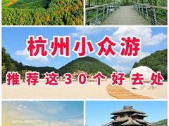 -龙坞茶村