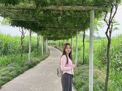 -下渚湖国家湿地公园科普馆