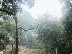 -飞霞风景名胜区