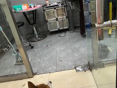 -宠福鑫康馨动物医院·骨科·眼科