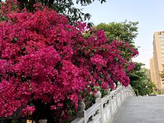 -澜小宴·胶东海鲜烟台味(时光塔店)