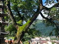 -九华山风景区