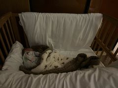 -中山利和希尔顿酒店