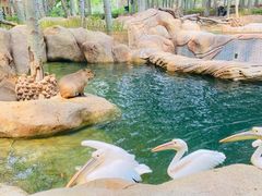 -北京野生动物园