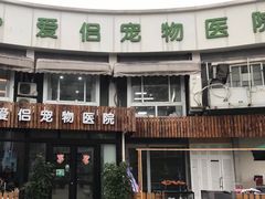 -爱侣宠医·鹦鹉专科·小型哺乳类·异宠专科(灵石路店)