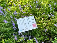 -翠湖国家城市湿地公园