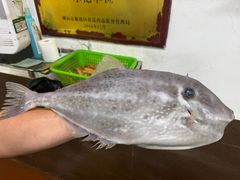 -寻味顺德·南记酒家·传统顺德菜·鱼生(广源路店)