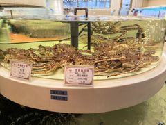 -上海白金汉爵大酒店(大零号湾国际会议中心店)