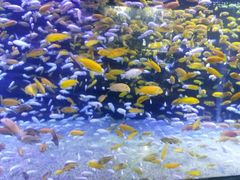 -成都浩海立方海洋公园