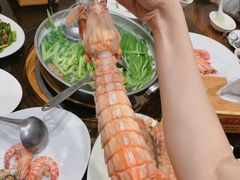 濑尿虾-凯华海鲜火锅·传承三十六年