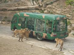 -深圳野生动物园