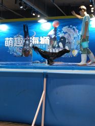 -酷嗒动物文化乐园(cutezoo西溪乐天城店)