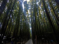 -山王坪喀斯特国家生态公园