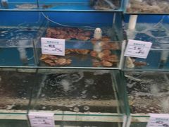 -睿柏云酒店-餐厅