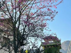 -广悦华阳朔河畔度假酒店(十里画廊遇龙河店)