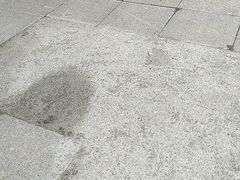 -索拉古贝(义乌北苑店)