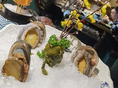 活鲍鱼-小椒娘撒椒鱼火锅(三八广场店)