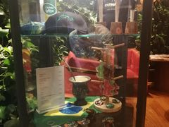 -拉蒂娜·巴西牛排馆 Latina·Brazilian Steakhouse(陆家嘴旗舰店)