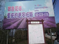 -山王坪喀斯特国家生态公园