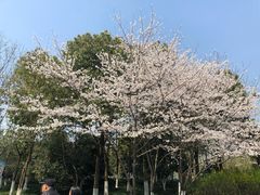 -杭州城北体育公园