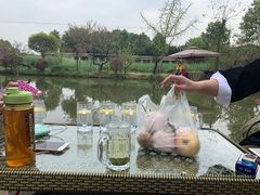 -洪湖家庭农场·团建·露营·会议