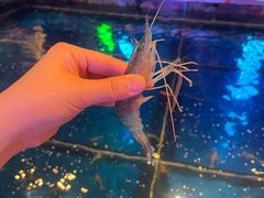 -钳真多钓虾馆·小龙虾海鲜烧烤(九六广场店)