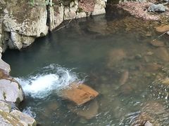 -本溪汤沟绿石谷森林公园