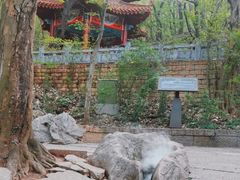 -皇藏峪国家森林公园
