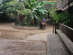 -长鹿旅游休博园