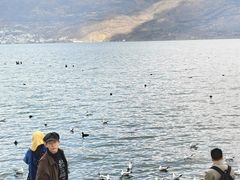 -大理洱海