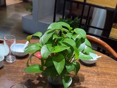 -宋庄魁元艺术餐厅