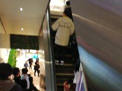 -新世界百货(顺义店)